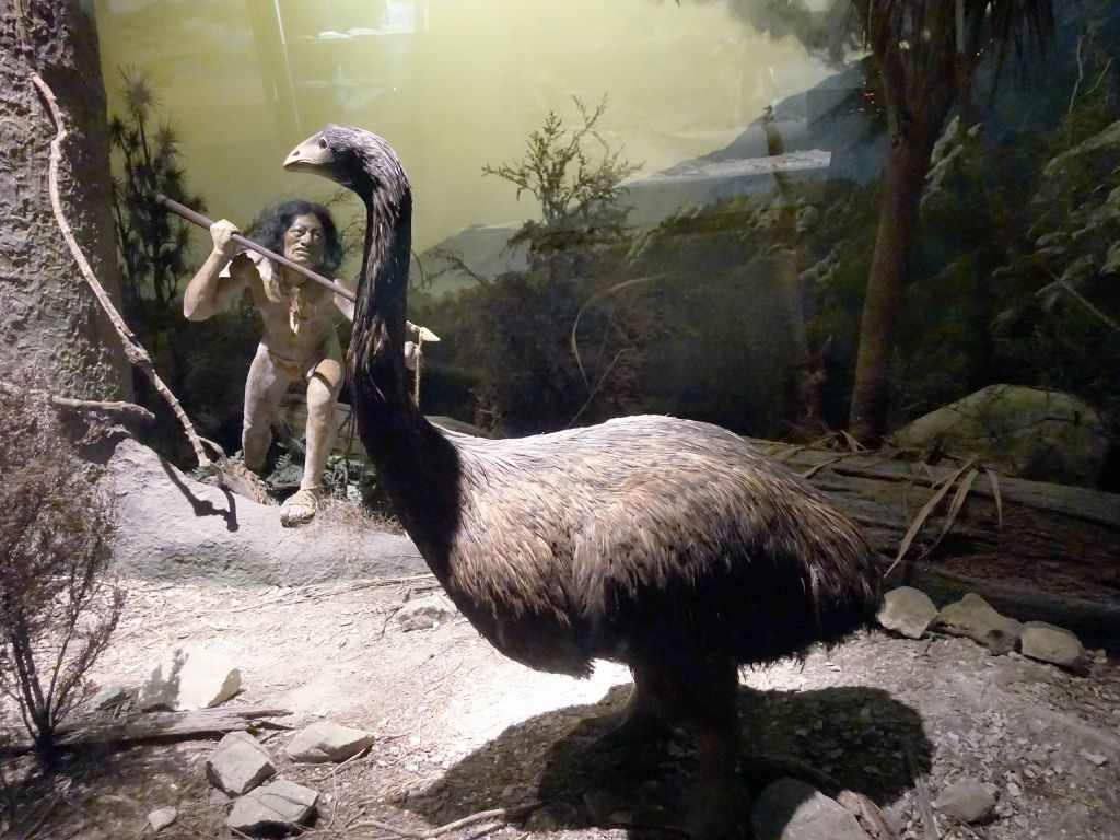 sadly they hunted the Moa to extinction