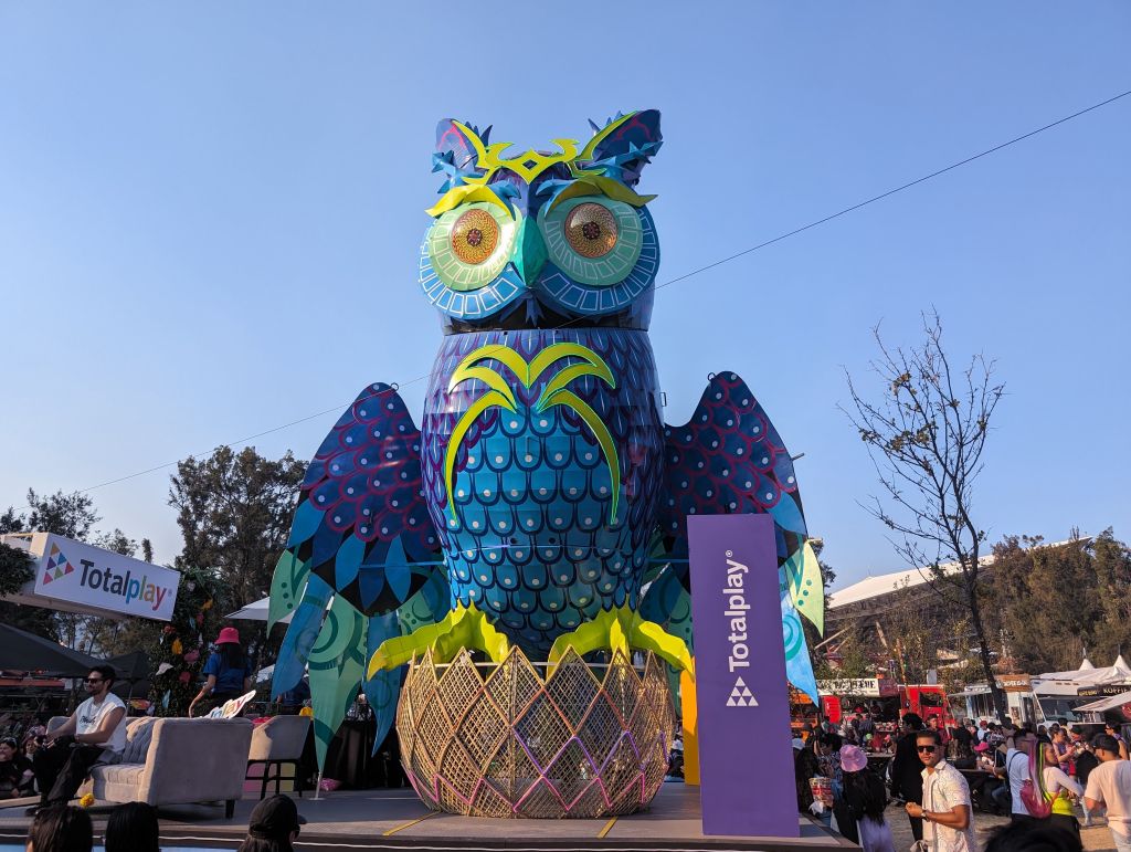 nice owl during the day