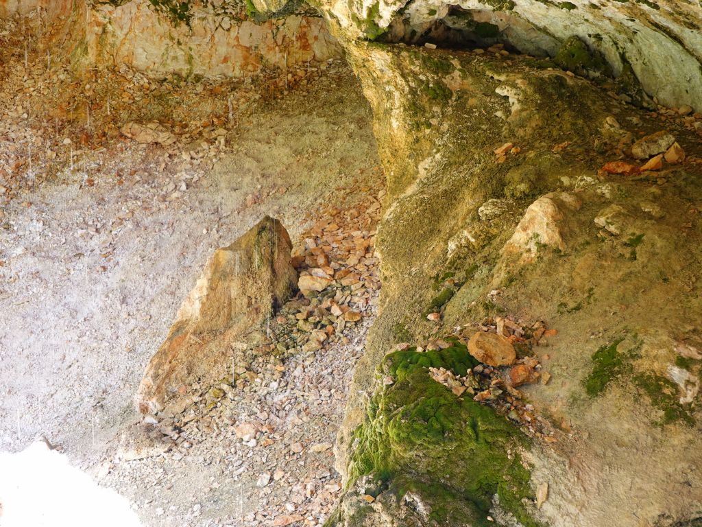 moss cave
