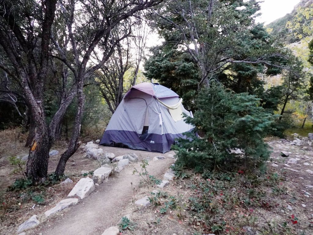we got a nice campsite