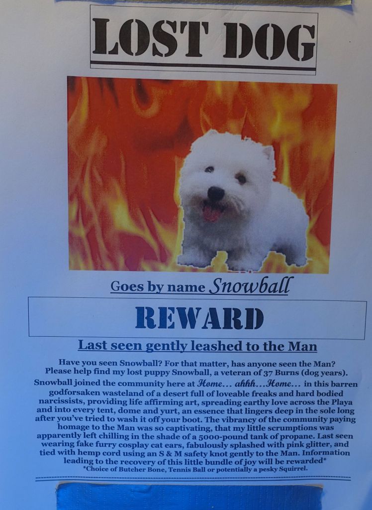 I hope someone found this poor dog gently leached to the man