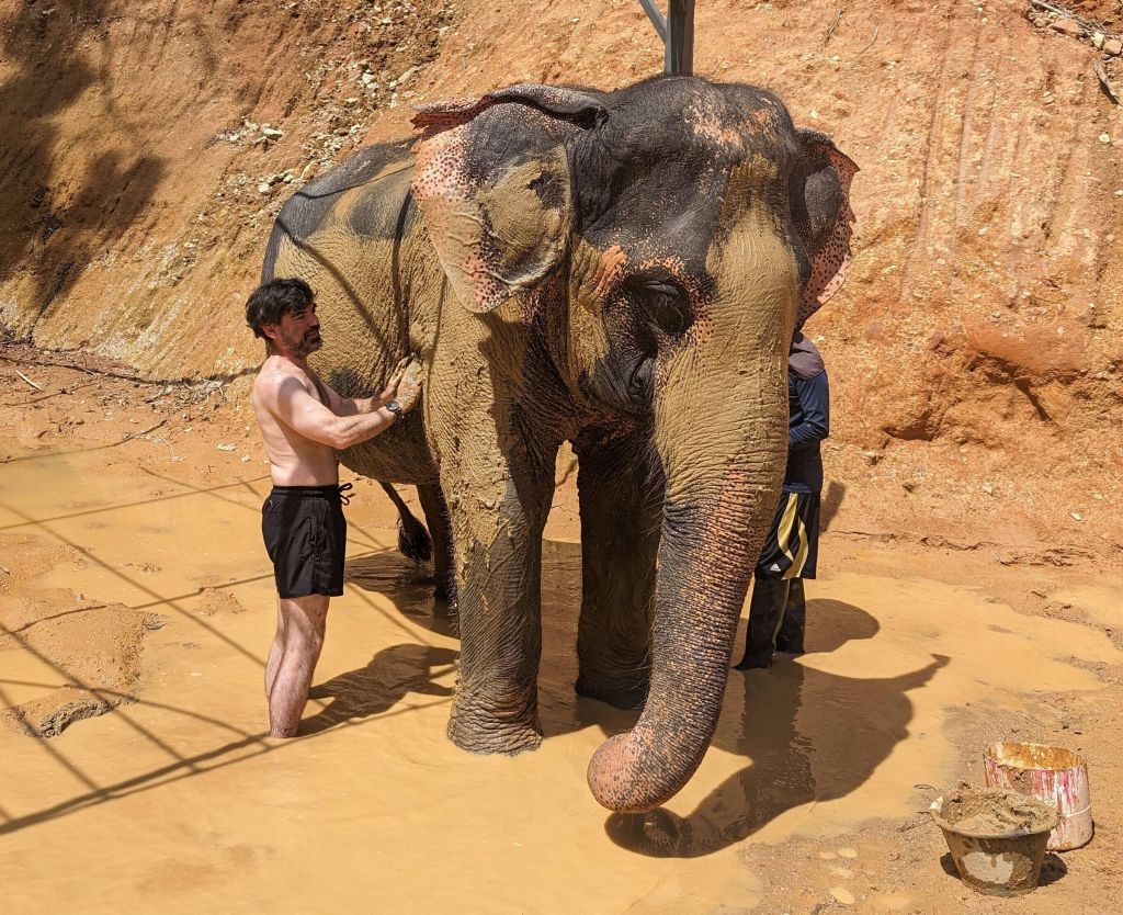 I then got help put mud on an elephant (they like it)