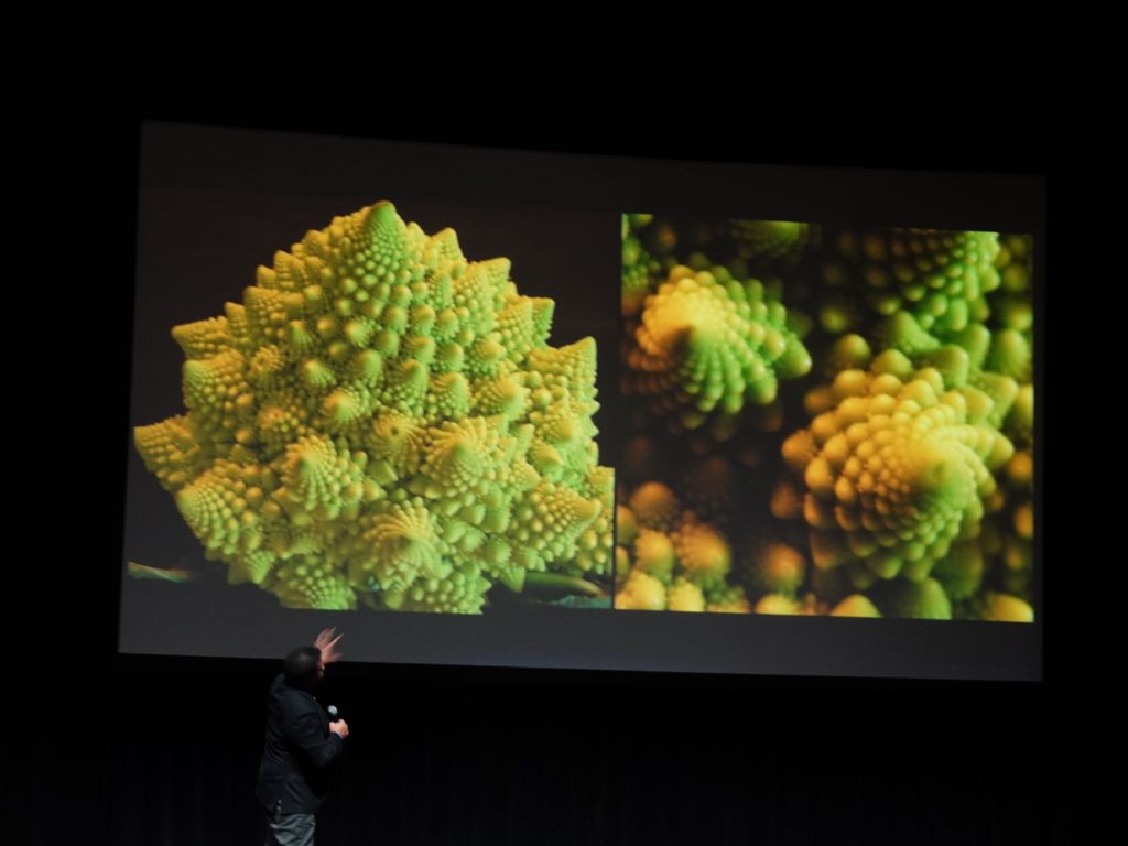 nature making fractals is of coure hella cool
