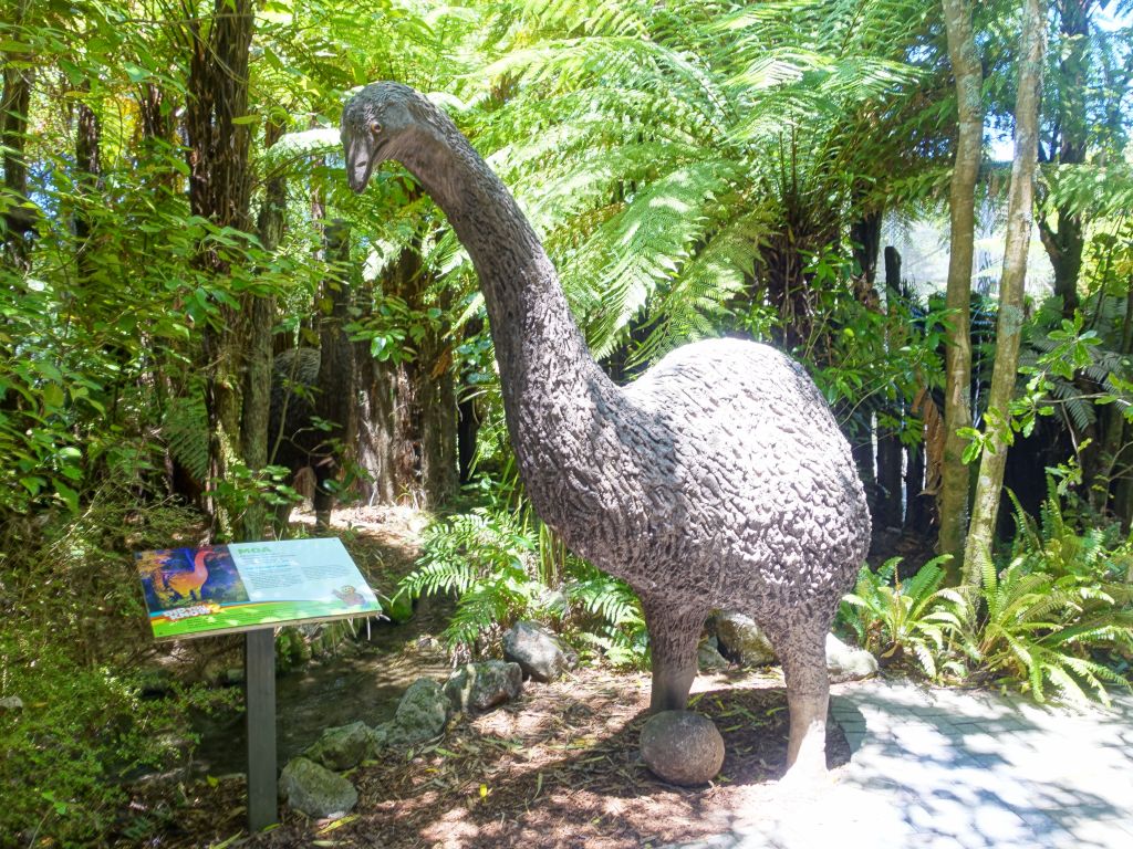 the tallest land bird, now extinct (Moa)
