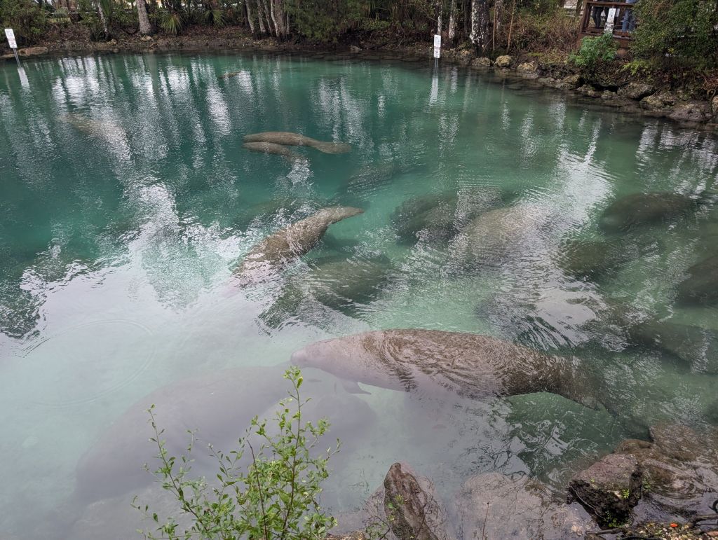 thankfully the water was pretty clear