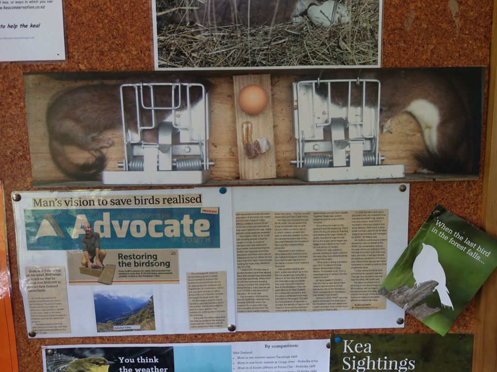 it explained how they are trying to kill the mammals have been decimating the local birds