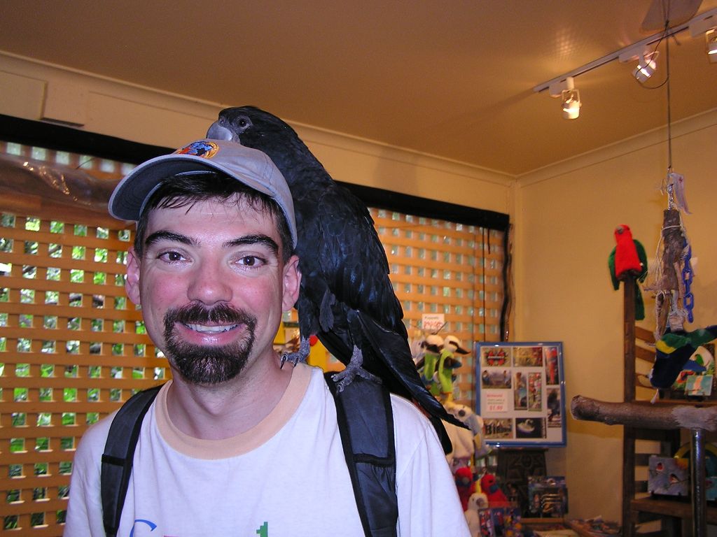 the gift shop had another big parrot that liked my hat :)