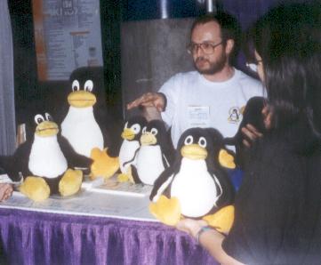 [picture with penguins]