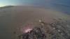 447 - 20160829 Burning Man Flight3 front