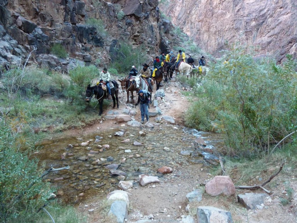 we trailled and passed the mules a couple of times