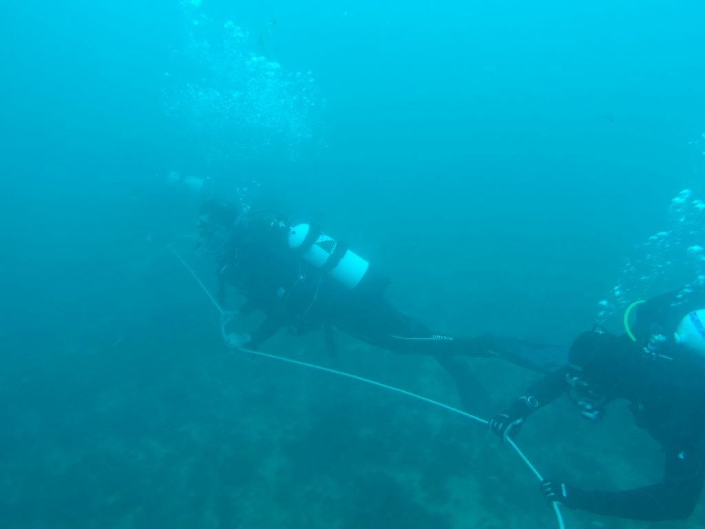 5kt of current, my first drift dive with a rope