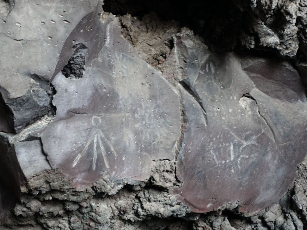 the pictographs by the entrance were hard to find, but Jennifer found them