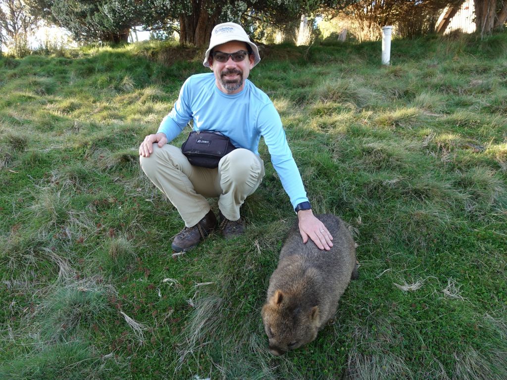 it didn't even mind being pet, which is unusual as adult wombats are usually not friendly