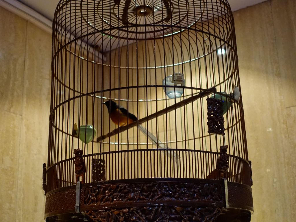 they had nice singing birds you could hear in the entire hotel