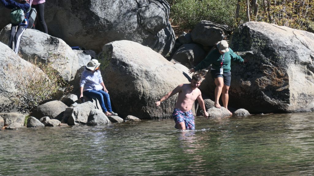 kudos for those who went for a swim