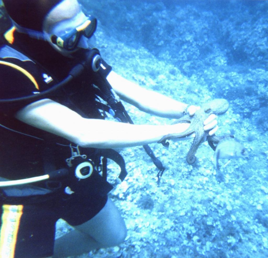our divemaster breaking the dont mess with wildlife rule with a small octopus