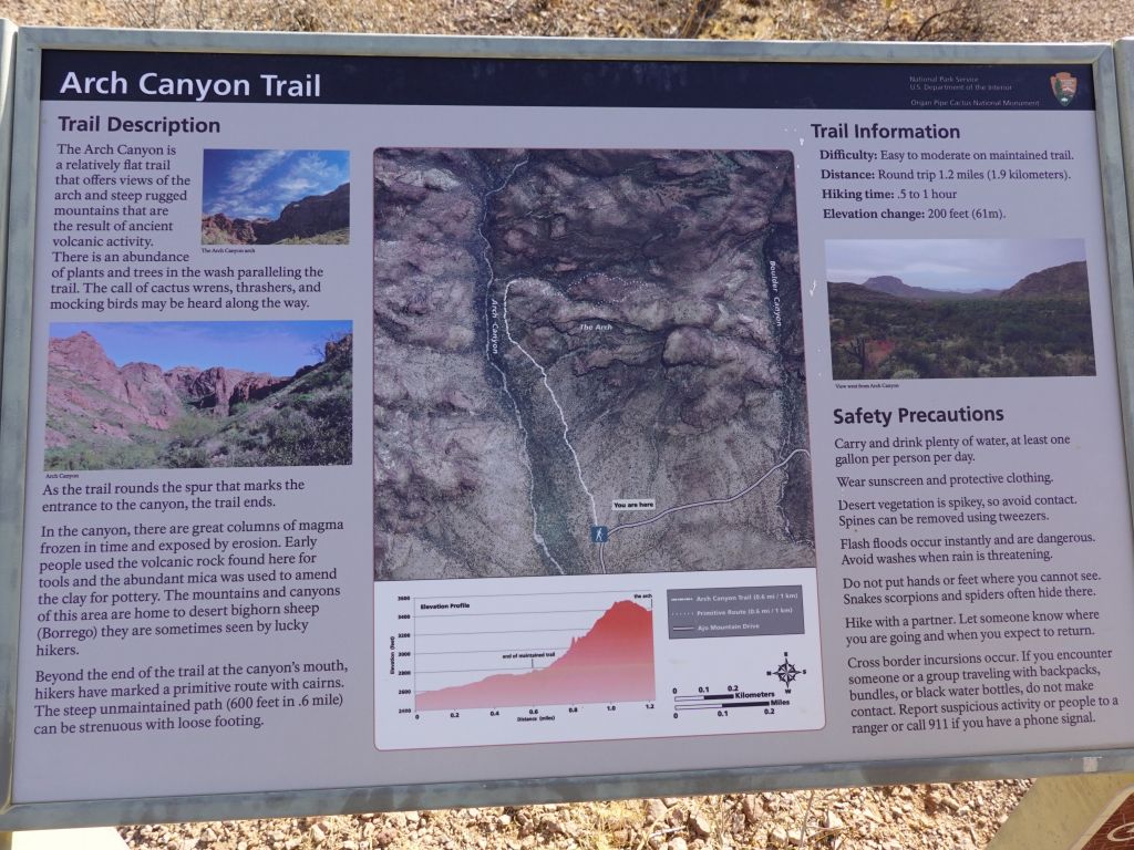 Arch Canyon had a walk to the top, but it was not a great idea