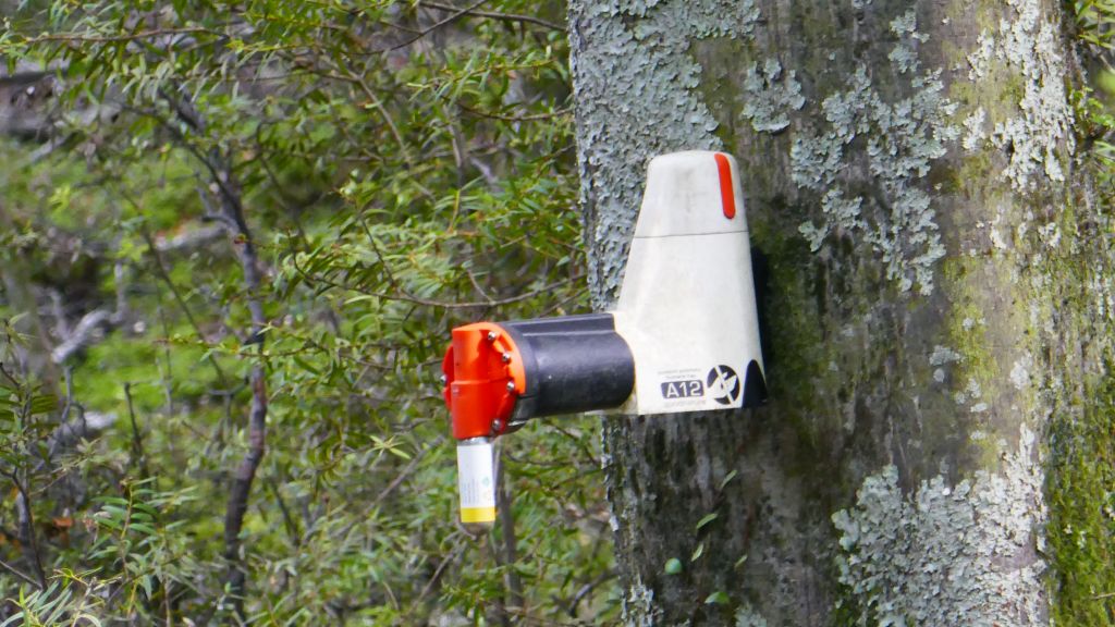 to kill invasive possums, they have this resetable kill traps