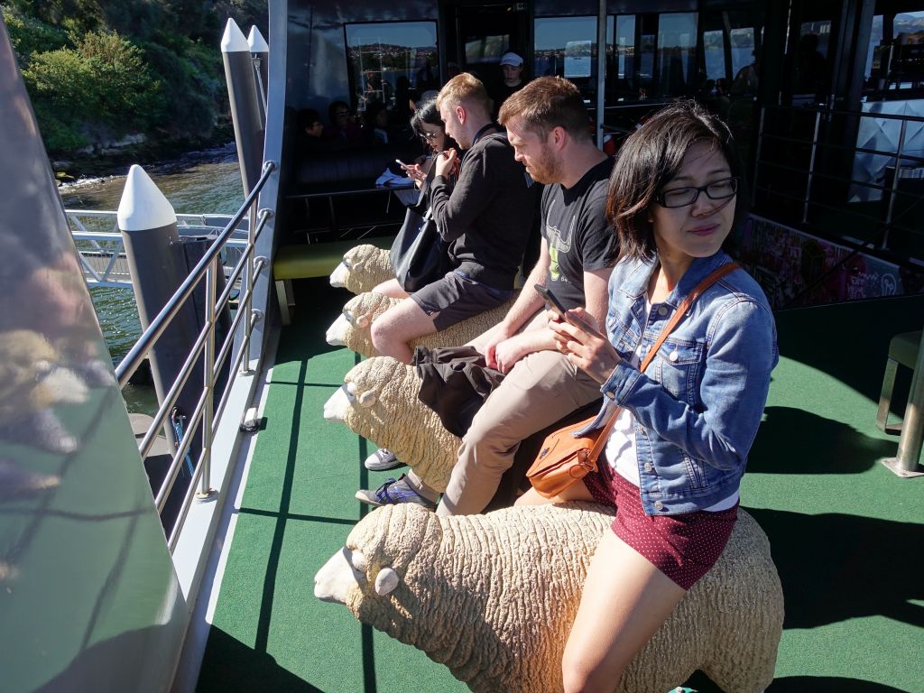 where you can ride on sheep, because why wouldn't you?