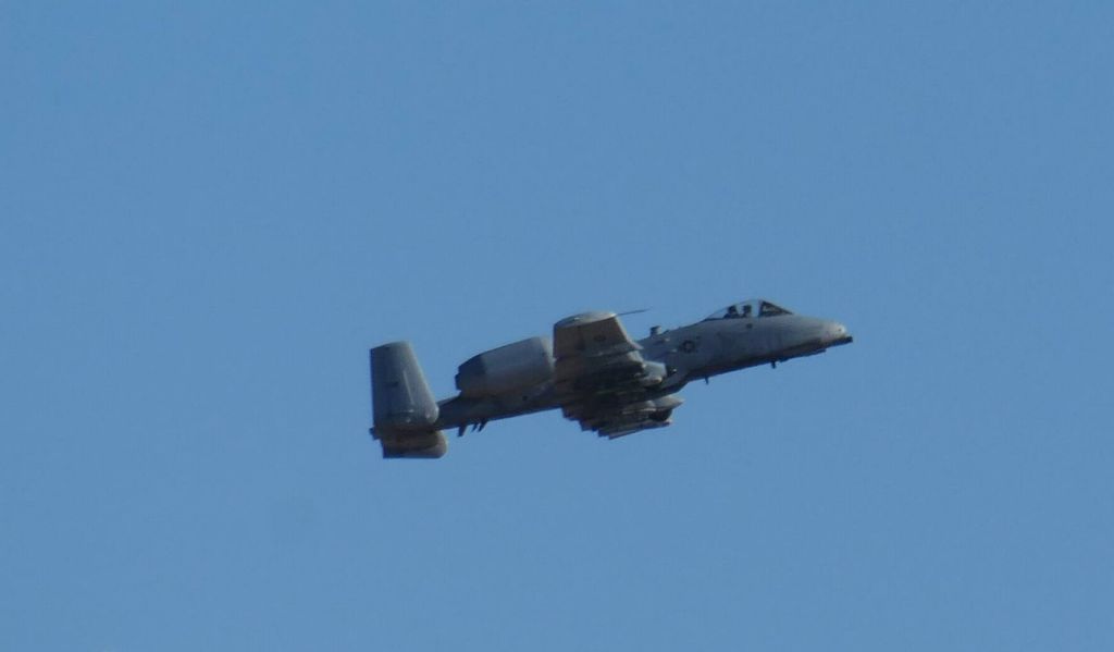 interestingly, there were severals warthogs flying outside that day