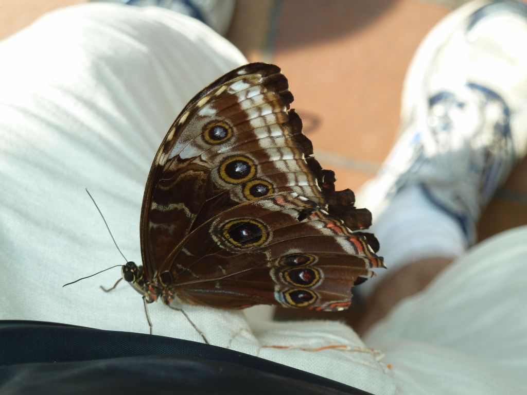 this one landed on my pants :)