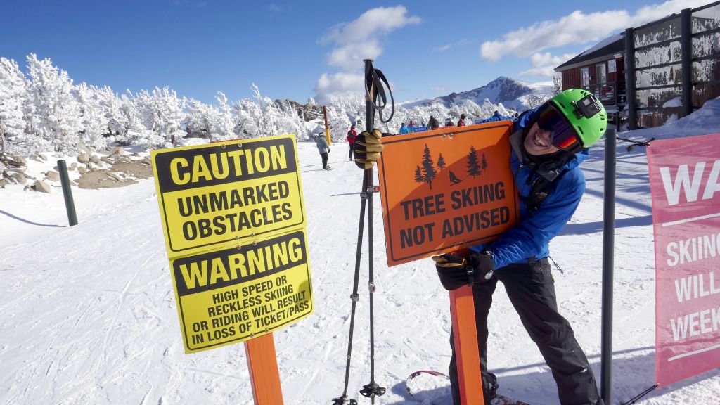 oh no, tree skiing is bad :)