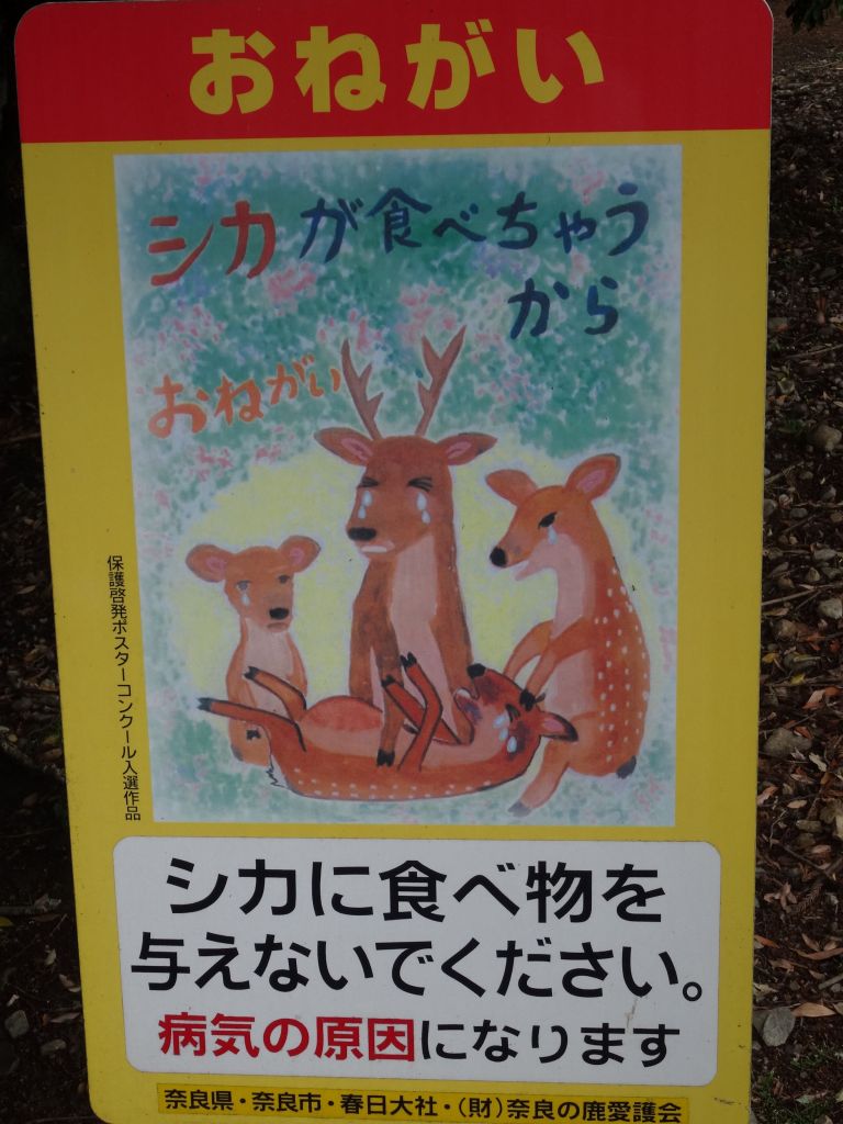 Do not feed the deer, or they'll be very sad :)
