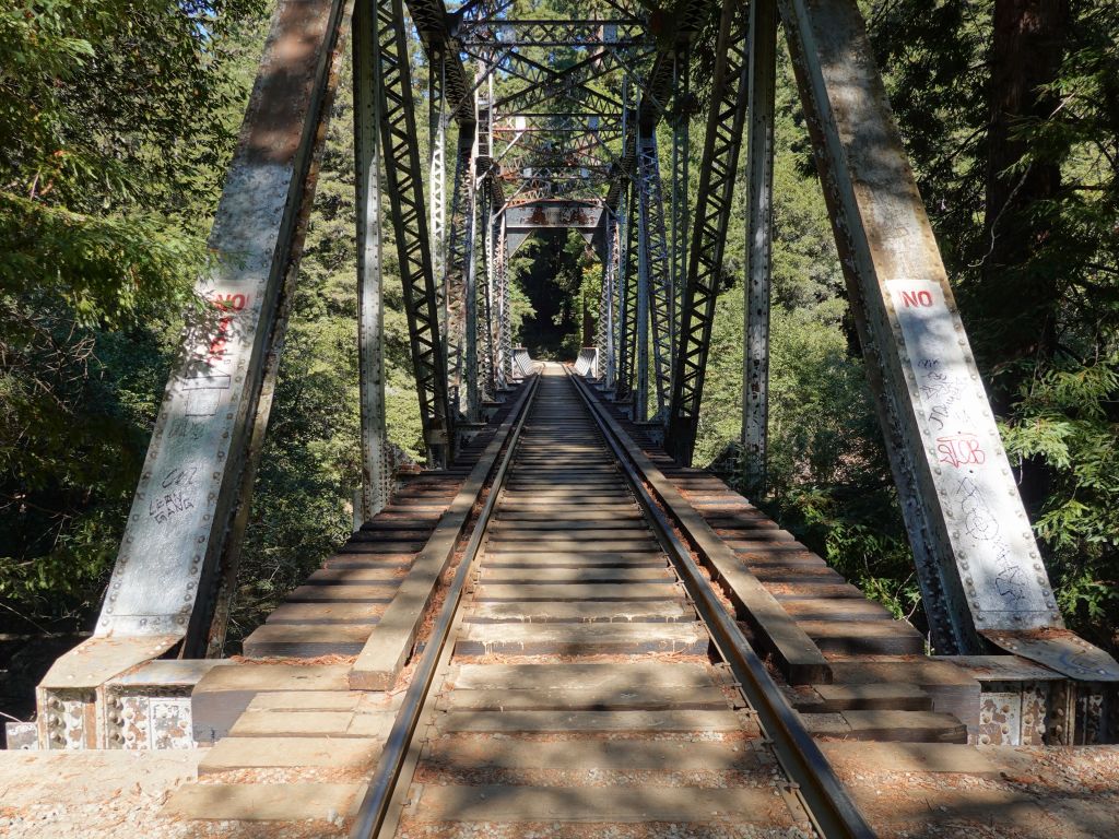 there is a redwoods steam train, we took its bridge across the river