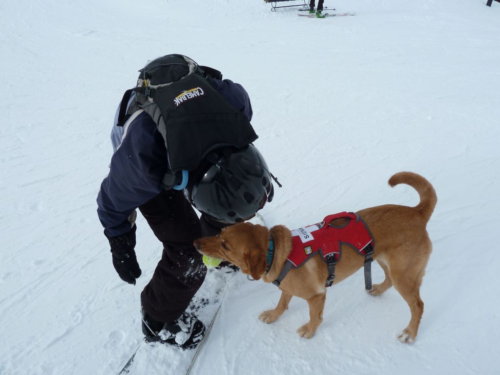 the ski patrol dog had its tennis ball to play with us