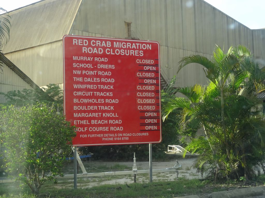 we missed the big crab migration, but some roads were still closed due to too many crabs