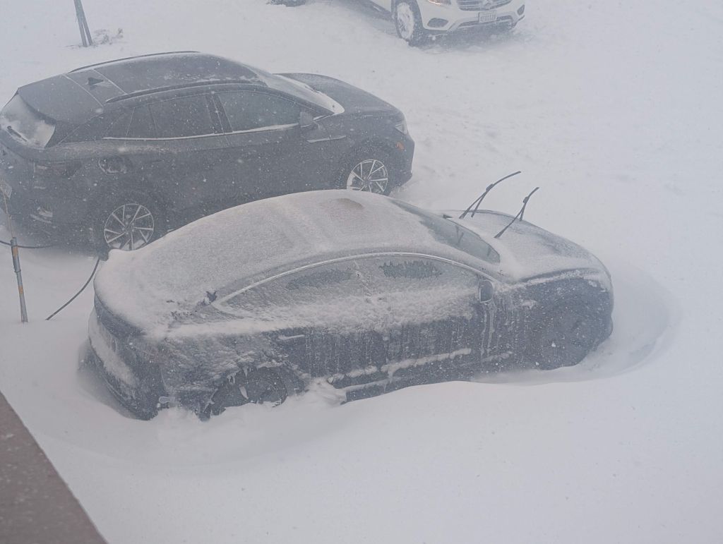 I used my car's defrost mode to limit snow accumulation on it