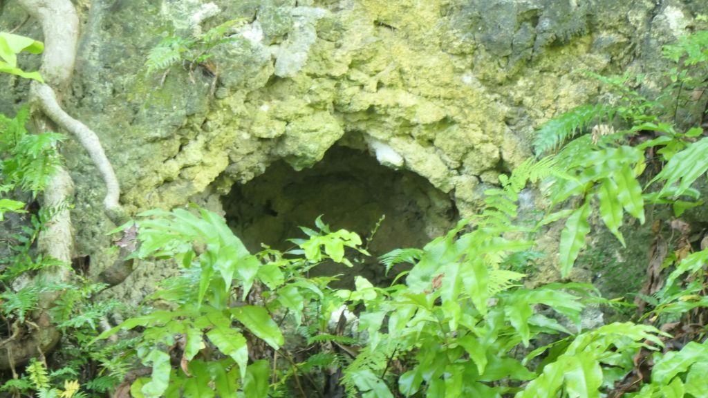 one of the caves' exits