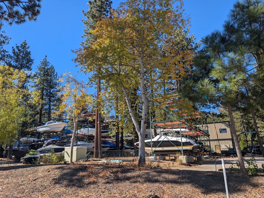 all the boats are taken out the water and stored during the winter