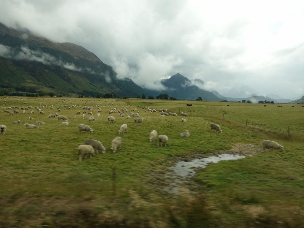bus ride back to queenstown