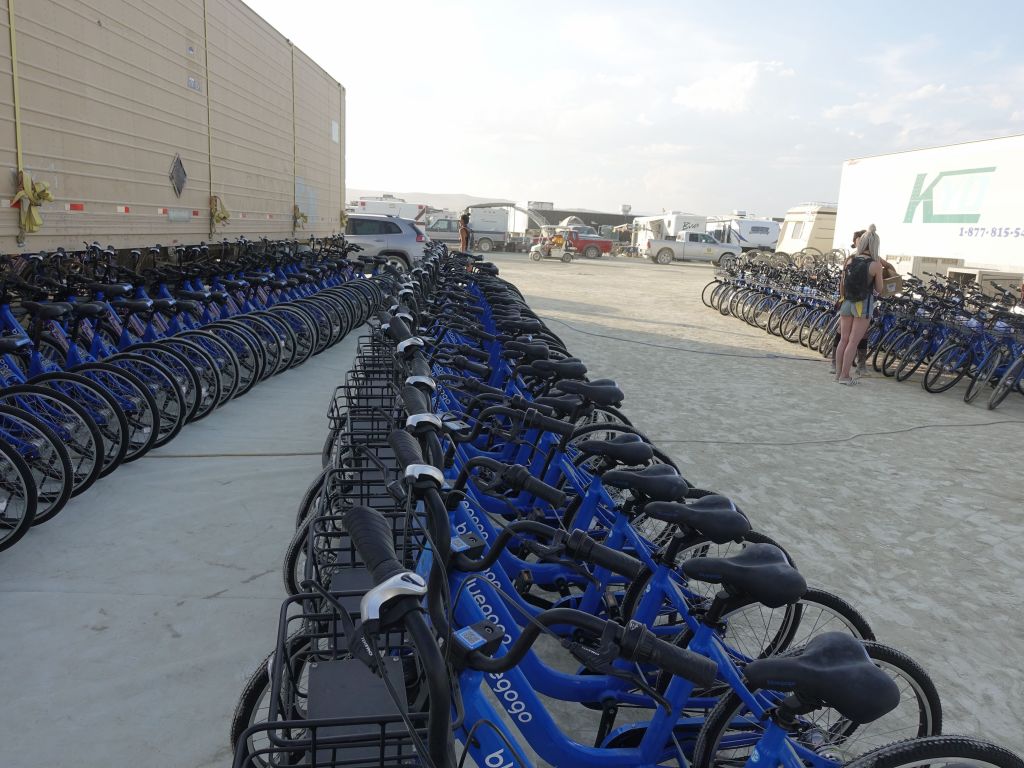 many bikes for rent