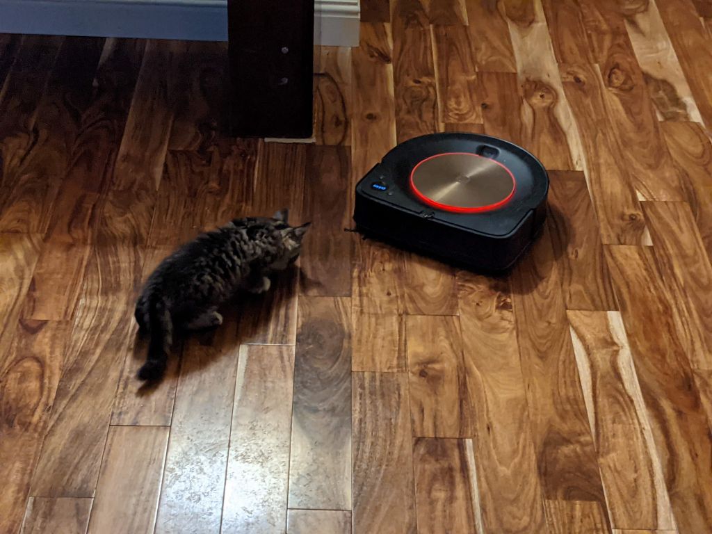 required roomba training