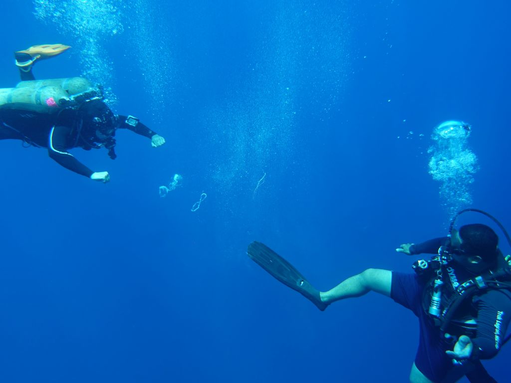our dive guides spent deco time doing bubble ring wars, this one could make them with his fin, awesome!